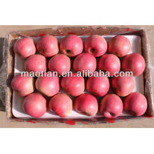 High Quality Qinguan Apple
